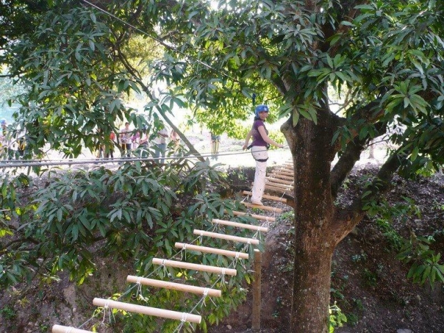  Geschicklichkeitsbrücken 